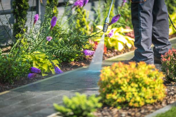 Best Parking Lot and Garage Cleaning  in Boynton Beach, FL